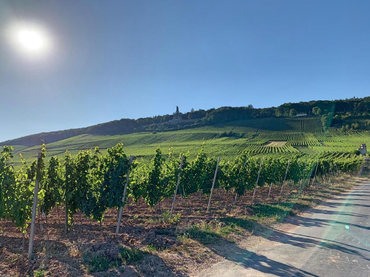 Fewo Zur Goldenen Traube Ruedesheim am Rhein Ngoại thất bức ảnh