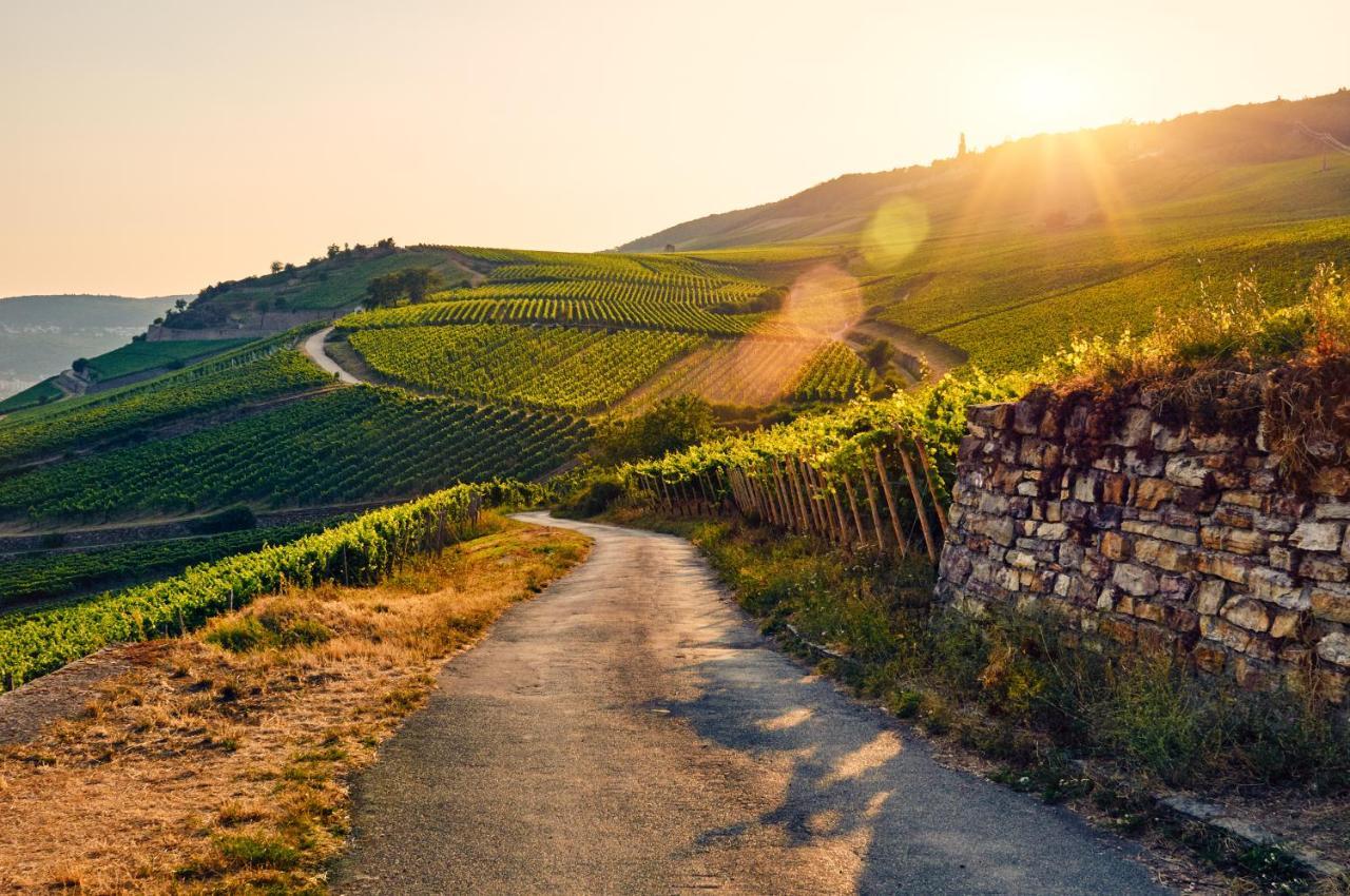 Fewo Zur Goldenen Traube Ruedesheim am Rhein Ngoại thất bức ảnh